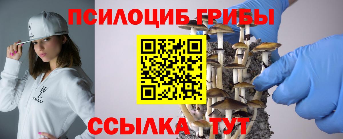 Галлюциногенные грибы Psilocybine cubensis Сызрань